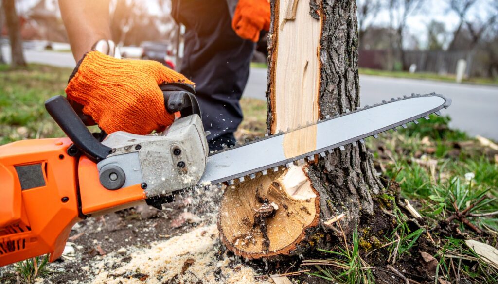 Firefly-professional-tree-trimming-seasonal-tree-care-expert-stump-grinding-thorough-fire-regulat-4-scaled.jpg