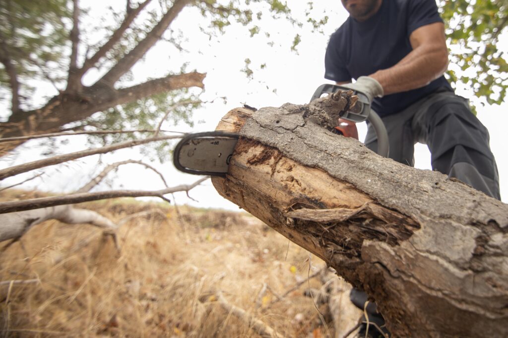 closeup-lumberjack-with-chainsaw-forest-min